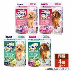 [4種類から1セット選択] 【ケース販売】デオシー...