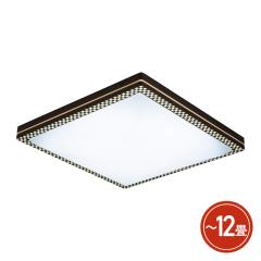 ���� TOSHIBA LED�V�[�����O 12���p �ؖڃf�U�C�� �p�^�C�v ���F�E�����^�C�v 5�N�ۏ� NLEH12W36B-LC LED �Ɩ� �V�[�����O���C�g �V�[��