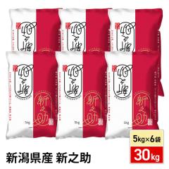 ���� �V�����Y �V�V�� 30kg�i5kg�~6�܁j�ߘa7�N�Y / �u�����h�� �� �����Y ��e��