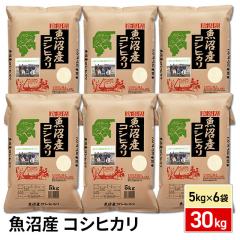 ���� �V���������Y ���������Ђ��� 30kg�i5kg�~6�܁j�ߘa7�N�Y / �V�����Y �u�����h�� �� �����Y ��e��