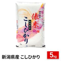 ���� �V�����Y �����Ђ��� ������ 5kg �ߘa7�N�Y / �u�����h�� �� �����Y �V���Y