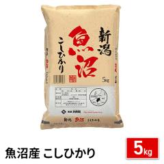 ���� �����Y �����Ђ��� ������ 5kg �ߘa7�N�Y / �u�����h�� �� �����Y �V���Y