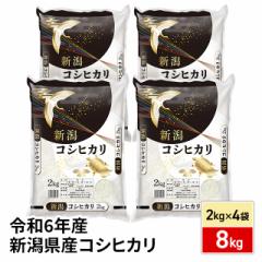 お米 新潟県産 コシヒカリ 精白米 2kg×4袋 計8kg 令和6年産 / ブランド米 米 国内産 新潟産