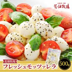 `[Y Ԕq tbVbc@ 500g k...