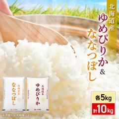 お米 北海道産 ななつぼし 精白米 20kg（5kg×4袋）令和7年産
