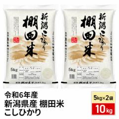 お米 新潟県産棚田米 こしひかり 精白米 10kg(5kg×2袋) 令和6年産 / ブランド米 米 国内産 新潟産