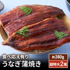 うなぎ 蒲焼き 超特大2尾 食べ応え有り（約280g×...