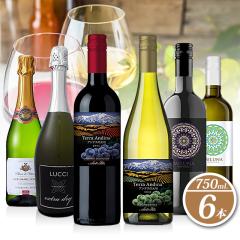 ���荠�o���G�e�B�Ԕ��A6�{�Z�b�g 750mL�~6�{ ���C���Z�b�g �ԃ��C�� �����C�� �X�p�[�N�����O �ƈ���