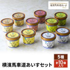 ���_�n�ԓ� �������Z�b�g 5��v10���� / 110mL�~10���� (�J�X�^�[�h�E�a��I�E�݂邭��[���E�Β��݂邭�E�o�j�� �~ �e2��) �Z�b�g 