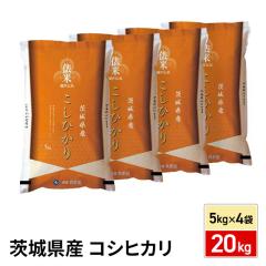 ���� ��錧�Y �����Ђ��� 20kg�i5kg�~4�܁j�ߘa7�N�Y  / �u�����h�� �� �����Y ���Y 