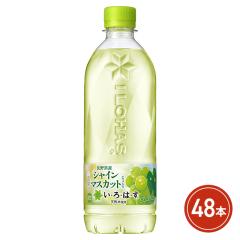 �R�J�E�R�[�� ���E��E�́E�� �V���C���}�X�J�b�g 540mL�~48�{�i24�{�~2�P�[�X�j