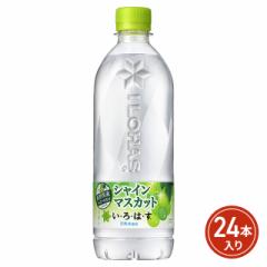 RJER[ EÉE VC}XJbg 540mL~24{i24{~1P[Xj