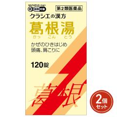 ��2�ވ��i  �������G�L�X�� 120���~2�Z�b�g ���Z���t���f�B�P�[�V�����Ő��Ώ� �N���V�G