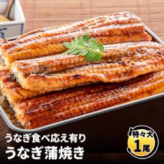 うなぎ食べ応え有り うなぎ蒲焼き 特々大1尾 (約2...