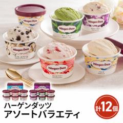 ハーゲンダッツ アソートバラエティ 計12個 AH-LC...