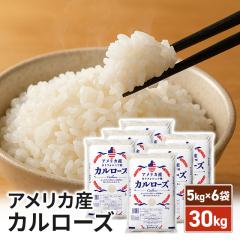 �� ���� �A�����J�Y �J�����[�Y 30kg�i5kg�~6�܁j �č��Y ���~ ����