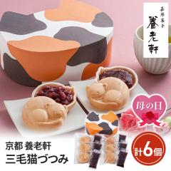 ��̓� �\��̔� ���s �{�V�� �O�єL�Â� �v6�� YJ-MCT �a�َq �l���� �M�t�g ���� ��������