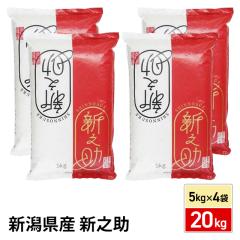 ���� �V�����Y �V�V�� 20kg �i5kg�~4�܁j ������ �ߘa7�N�Y / �u�����h�� �� �����Y �V���Y