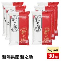 ���� �V�����Y �V�V�� 30kg �i5kg�~6�܁j ������ �ߘa7�N�Y / �u�����h�� �� �����Y �V���Y