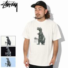 Xe[V[ TVc  STUSSY Y Big & Meaty Pigment Dyed ( stussy tVc tee sOg Jbg\[ 1904880 USAf