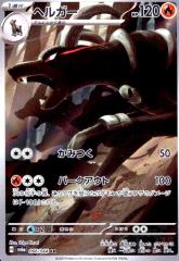 �y���Áz240808350/�ٶް(066/064 AR)