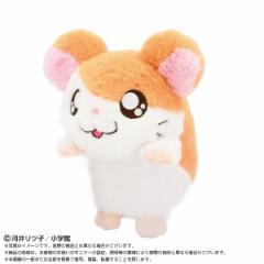 クロミ ワーズ collection　全6種　☆　オトナ買い　コンプリートBOX クロミ ワーズ collection 全6種 ☆ オトナ買い コンプリートBOX