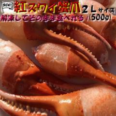 IIgYCJj2kTCY(500g) ̂Ή Ε  Mtg BBQ 