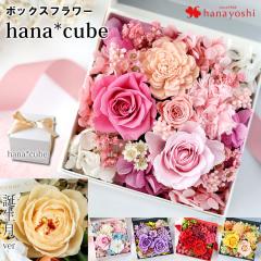 �{�b�N�X�t�����[ �v���U�[�u�h�t�����[ hanacube ���� �M�t�g �� �a���� �v���[���g ���� �� ���F�B �͂�Ȃ��� �����j�� �����L�O�� �o