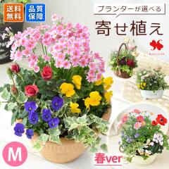 �v�����^�[���I�ׂ� �G�߂̂��܂����񂹐A��M �K�[�f�j���O � �{�̂��Ԃ������Ղ� ���A�� ���j�� �� �a�����v���[���g ���� �� �j�� 