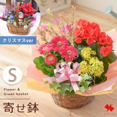 季節のおまかせ 花鉢 と グリーン の 寄せ入れ Sサイズ フラワーバスケット 鉢花 鉢植 鉢植え 植物 ギフト おしゃれ 花 誕生日 お誕生日