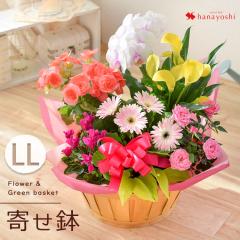 G߂̂܂ԔƃO[̊񂹓 LLTCY  A t[oXPbg a  JX J j  t[M