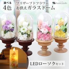 ���� ������ �v���U�[�u�h�t�����[ �K���X�h�[�� �A�����W�����g�r & ����͂�����S �Z�b�g ������� ���d �� ������ �������� ������ �l