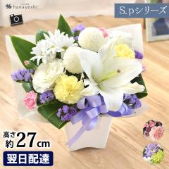 ���������Ή� ���������ԃA�����W�����g S.p�V���[�Y �������� �A�����W ������ ������� ���蕨 �����z�B ���� �@�� �������� �r������