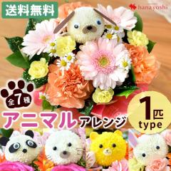  t[AWg 7̓Iׂ Aj}AW 1Cver t[ Mtg a p_    L ybg