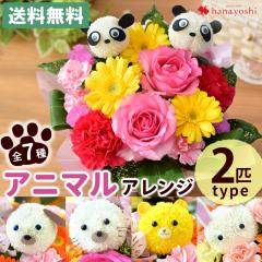  t[AWg 7̓Iׂ Aj}AW 2Cver t[ a  p_    L ybg 