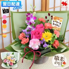 [�①��]�ł��͂� �� �A�����W�����g �v���[���g �G�߂̂��܂��� ���� �A�����W �X�^���_�[�h �o���[�� �t�����[ �A�����W ���j�� �a����