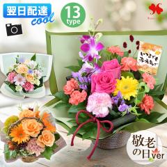 [�①��]�ł��͂� �� �A�����W�����g �v���[���g �G�߂̂��܂��� ���� �A�����W �X�^���_�[�h �o���[�� �t�����[ �A�����W ���j�� �a����
