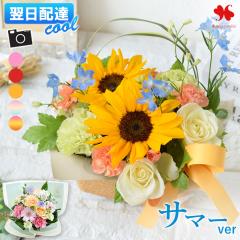 [�①��]�ł��͂� �� �A�����W�����g �v���[���g �G�߂̂��܂��� ���� �A�����W �X�^���_�[�h �o���[�� �t�����[ �A�����W ���j�� �a����