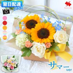 [�①��]�ł��͂� �� �A�����W�����g �v���[���g �G�߂̂��܂��� ���� �A�����W �X�^���_�[�h �o���[�� �t�����[ �A�����W ���j�� �a����