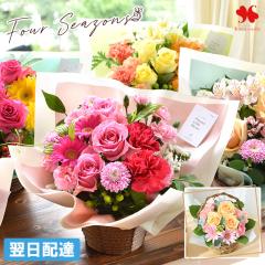 �� �A�����W�����g �v���[���g �G�߂̂��܂��� ���� �A�����W �X�^���_�[�h �i�`���[�� �o���[�� �t�����[ �A�����W ���j�� �a���� ���a