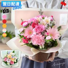 [�①��]�ł��͂� �� �A�����W�����g �v���[���g �G�߂̂��܂��� ���� �A�����W �X�^���_�[�h �o���[�� �t�����[ �A�����W ���j�� �a����