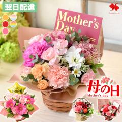 �� �A�����W�����g �v���[���g �G�߂̂��܂��� ���� �A�����W �X�^���_�[�h �i�`���[�� �o���[�� �t�����[ �A�����W ���j�� �a���� ���a