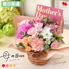 �� �A�����W�����g �v���[���g �G�߂̂��܂��� ���� �A�����W �X�^���_�[�h �o���[�� �t�����[ �A�����W ���j�� �a���� ���a���� ���� �M