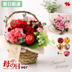 �� �A�����W�����g �v���[���g �G�߂̂��܂��� ���� �A�����W �X�^���_�[�h �o���[�� �t�����[ �A�����W ���j�� �a���� ���a���� ���� �M