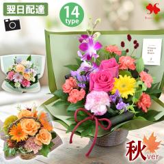 �� �A�����W�����g �v���[���g �G�߂̂��܂��� ���� �A�����W �X�^���_�[�h �o���[�� �t�����[ �A�����W ���j�� �a���� ���a���� ���� �M