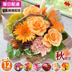 �� �A�����W�����g �v���[���g �G�߂̂��܂��� ���� �A�����W �X�^���_�[�h �o���[�� �t�����[ �A�����W ���j�� �a���� ���a���� ���� �M
