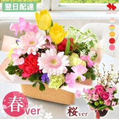 �� �A�����W�����g �v���[���g �G�߂̂��܂��� ���� �A�����W �X�^���_�[�h �i�`���[�� �o���[�� �t�����[ �A�����W ���j�� �a���� ���a