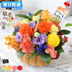 [�①��]�ł��͂� �t�����[�A�����W�����g �G�߂̂��܂��� ���ԃA�����W ���~�i�X �� �M�t�g �a���� �v���[���g ���a���� ���� ������� 
