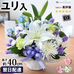 Ή ԃAWgSTCY  AW   蕨 zB  @  r 