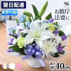 [�①��]�ł��͂� ���������Ή� ���������ԃA�����W�����gS�T�C�Y �������� �A�����W ������ ������� ���蕨 �����z�B ���� �@�� ������